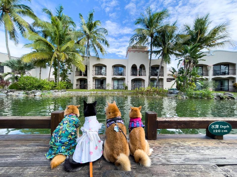 Promisedland Resort & Lagoon Shoufeng Eksteriør bilde Pets at the hotel